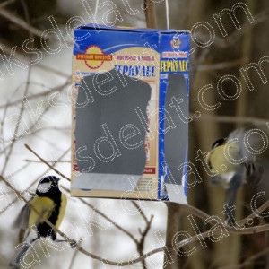 Как сделать кормушку для птиц своими руками из пластиковой бутлки коробки картона дерева бумаги