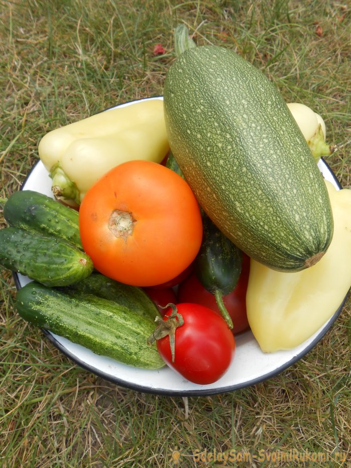 Вершинная гниль овощей простая подкормка для профилактики и лечения