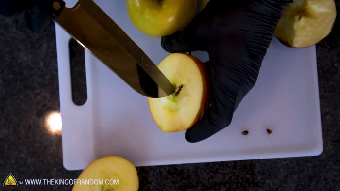 Как превратить семечко из яблока в дерево