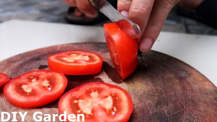 Способ выращивания томатов из семян в подвесных ПЭТ бутылках Подходит даже для квартиры и балкона