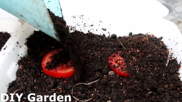 Способ выращивания томатов из семян в подвесных ПЭТ бутылках Подходит даже для квартиры и балкона