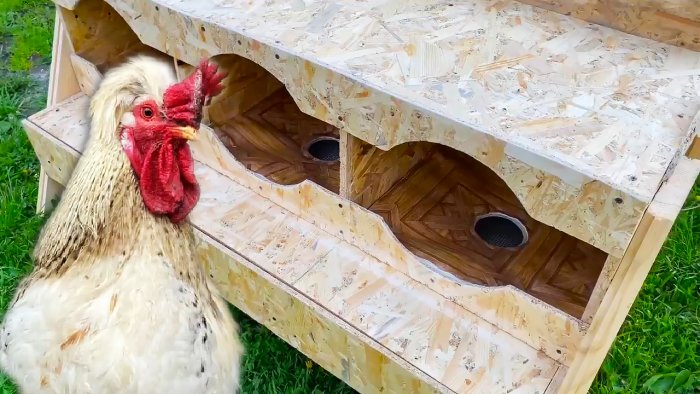 Как сделать гнезда для кур с яйце-приемниками из OSB