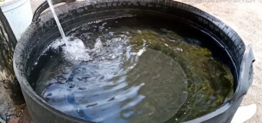Как сделать резервуар для воды из старой покрышки